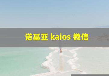 诺基亚 kaios 微信